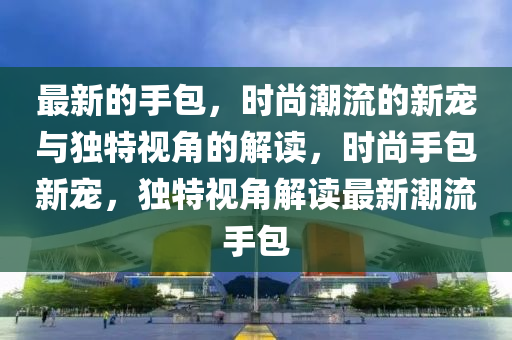 最新的手包，时尚潮流的新宠与独特视角的解读，时尚手包新宠，独特视角解读最新潮流手包